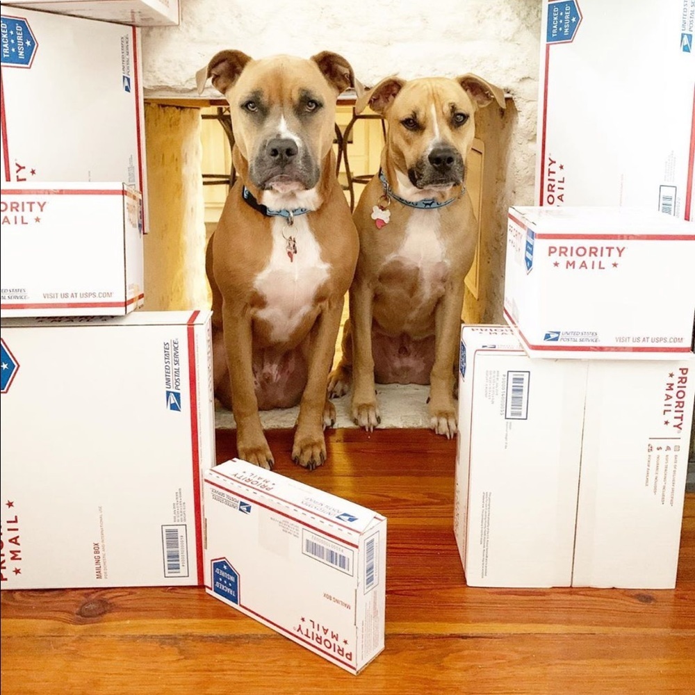 about me • queen b rocks! 🛍👑🐝